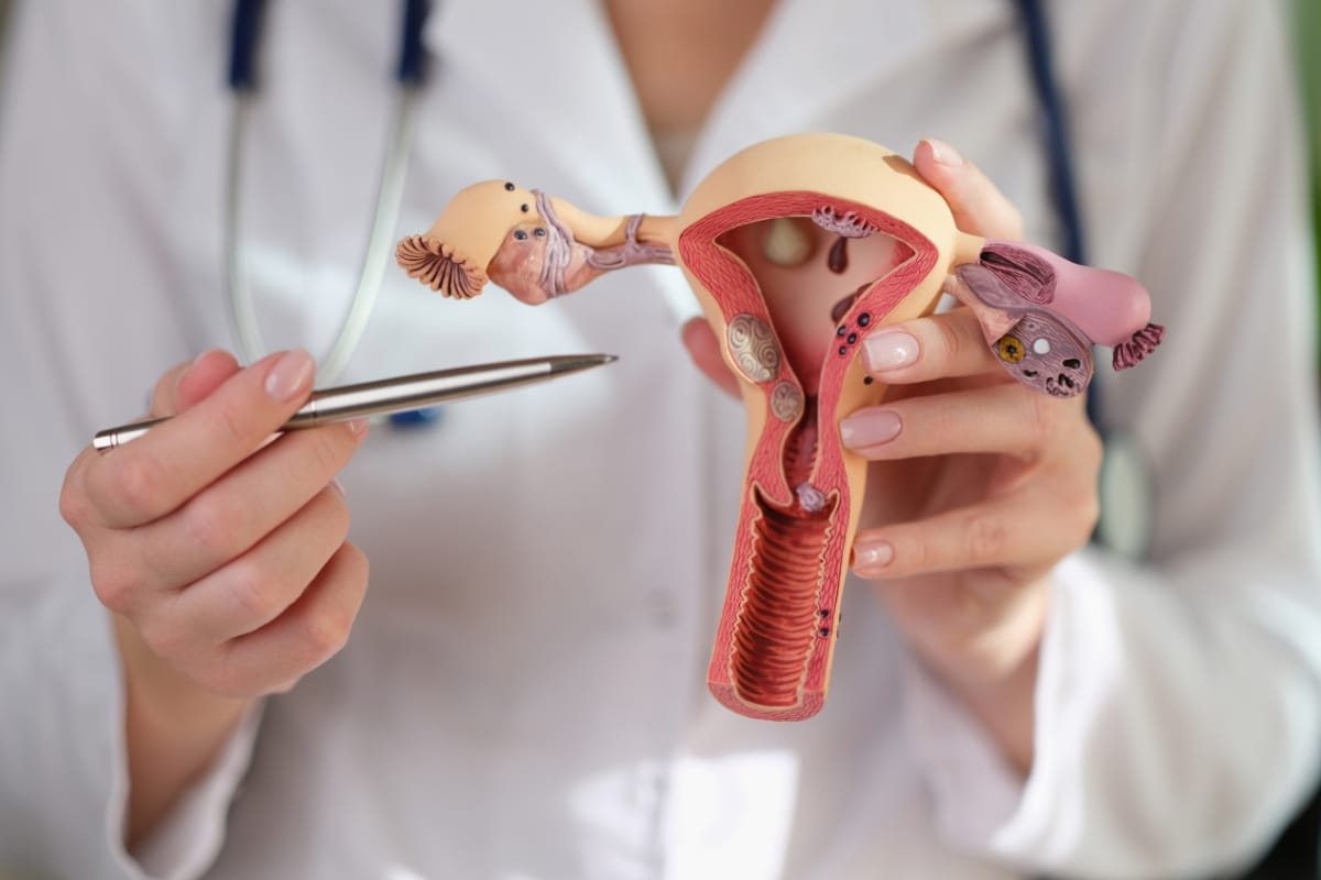 A person in a white coat holds a model of the female reproductive system, pointing at it with a pen while discussing non-invasive vaginal rejuvenation techniques.